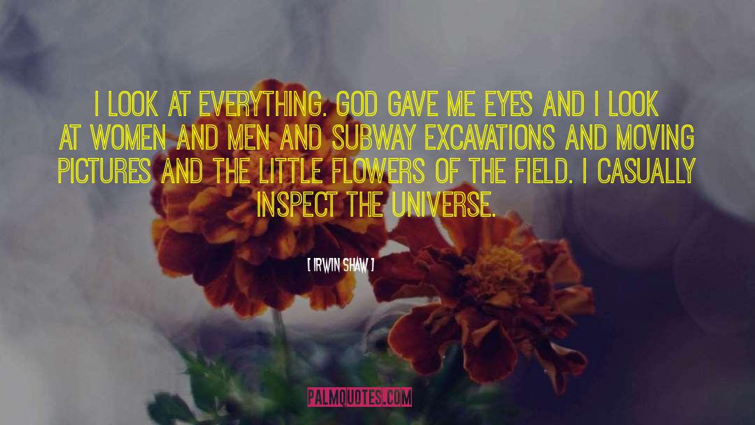 Irwin Shaw Quotes: I look at everything. God