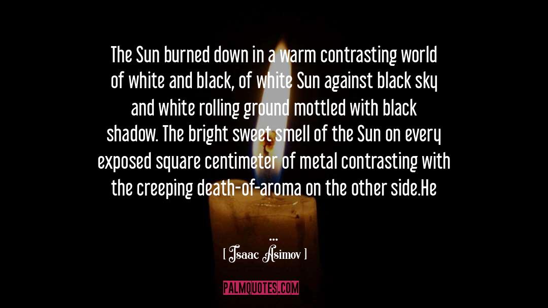 Isaac Asimov Quotes: The Sun burned down in