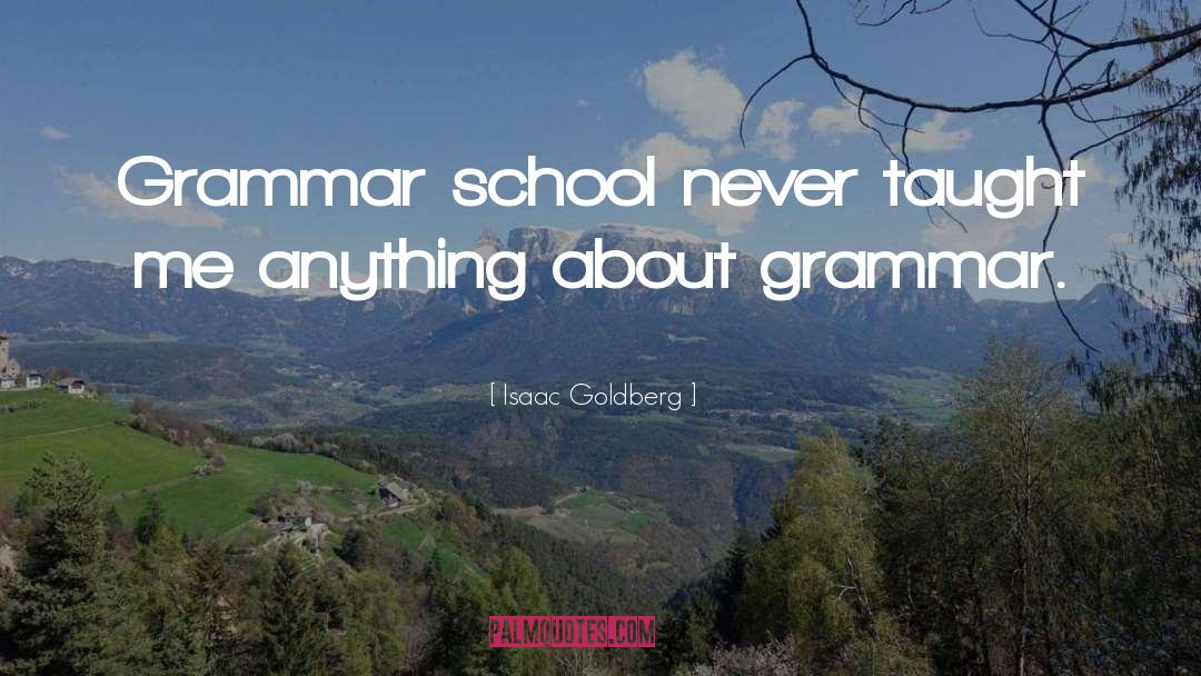 Isaac Goldberg Quotes: Grammar school never taught me