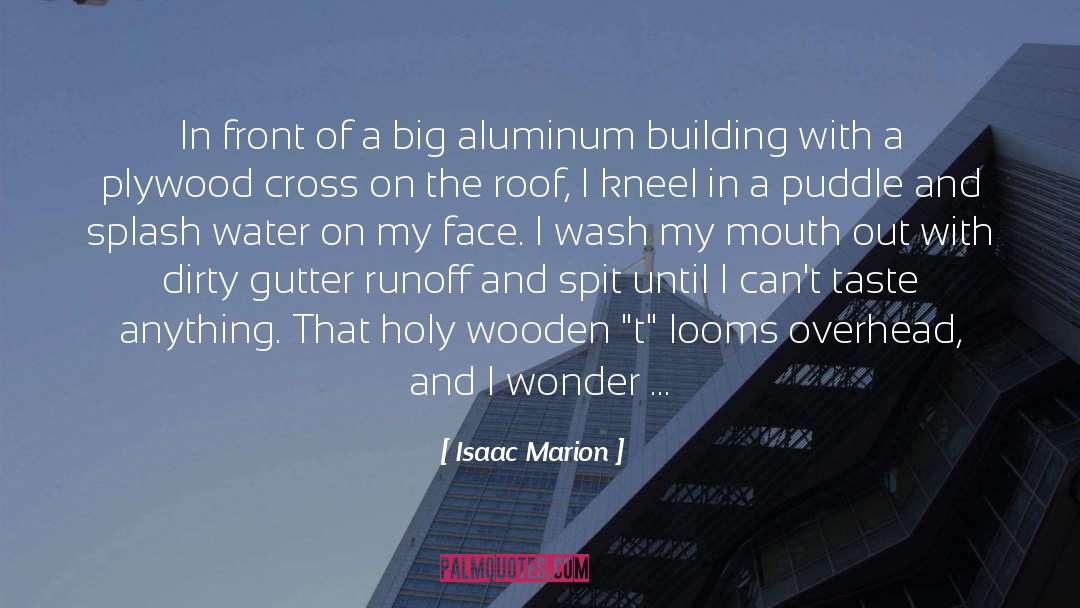 Isaac Marion Quotes: In front of a big