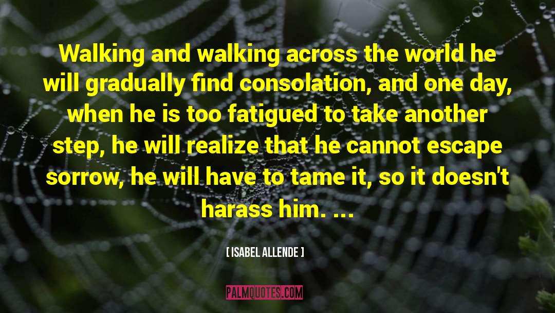 Isabel Allende Quotes: Walking and walking across the