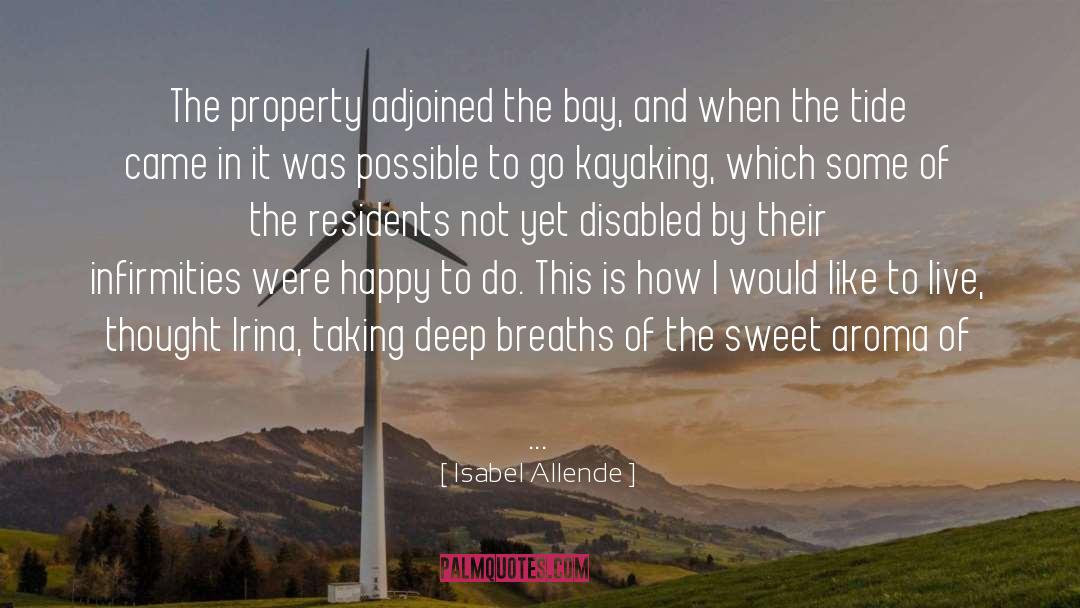 Isabel Allende Quotes: The property adjoined the bay,