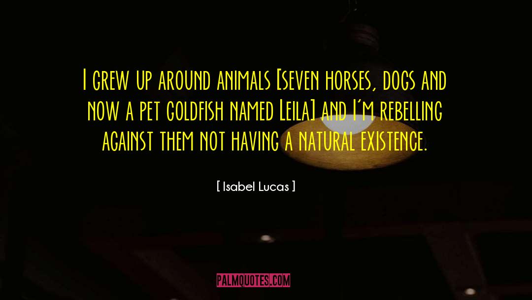 Isabel Lucas Quotes: I grew up around animals