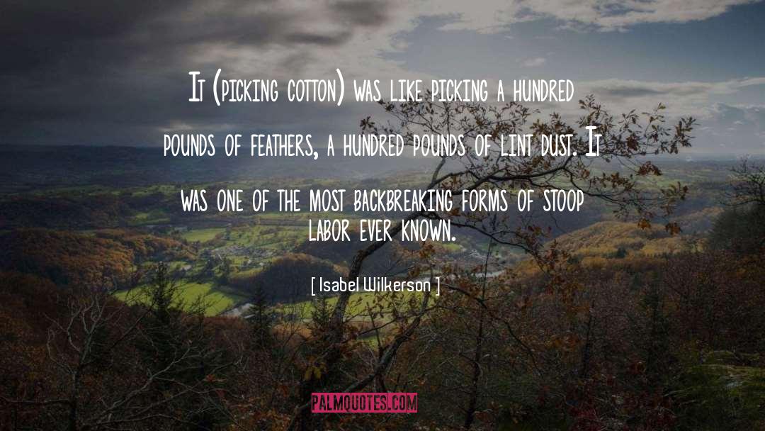 Isabel Wilkerson Quotes: It (picking cotton) was like