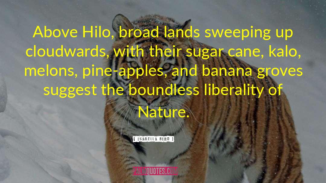 Isabella Bird Quotes: Above Hilo, broad lands sweeping