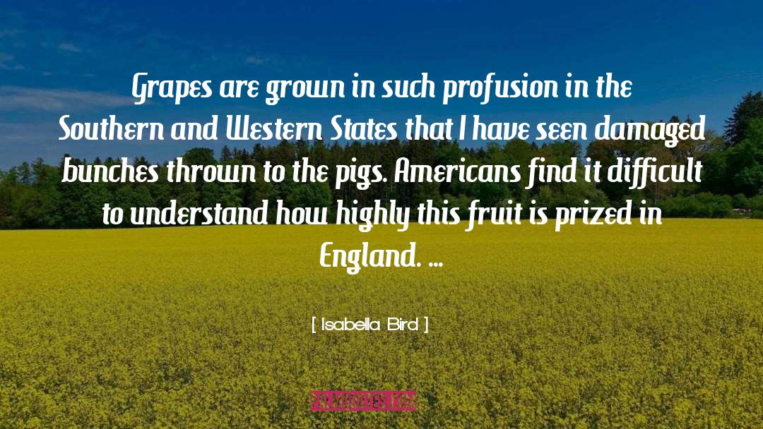 Isabella Bird Quotes: Grapes are grown in such