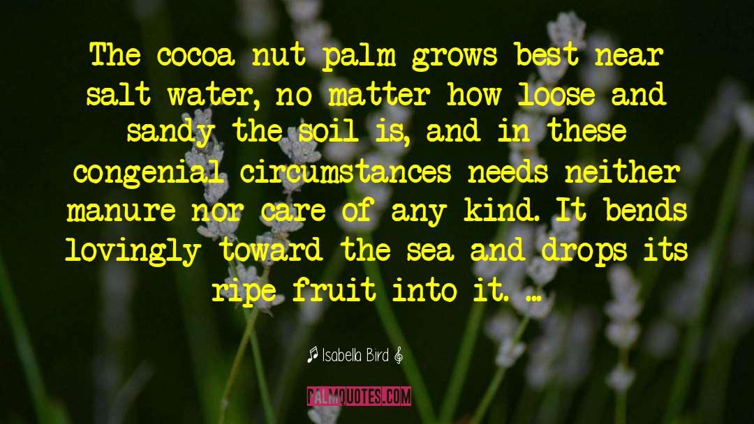 Isabella Bird Quotes: The cocoa-nut palm grows best