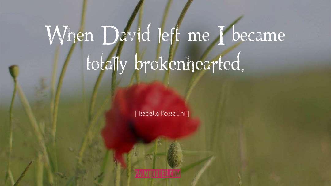 Isabella Rossellini Quotes: When David left me I