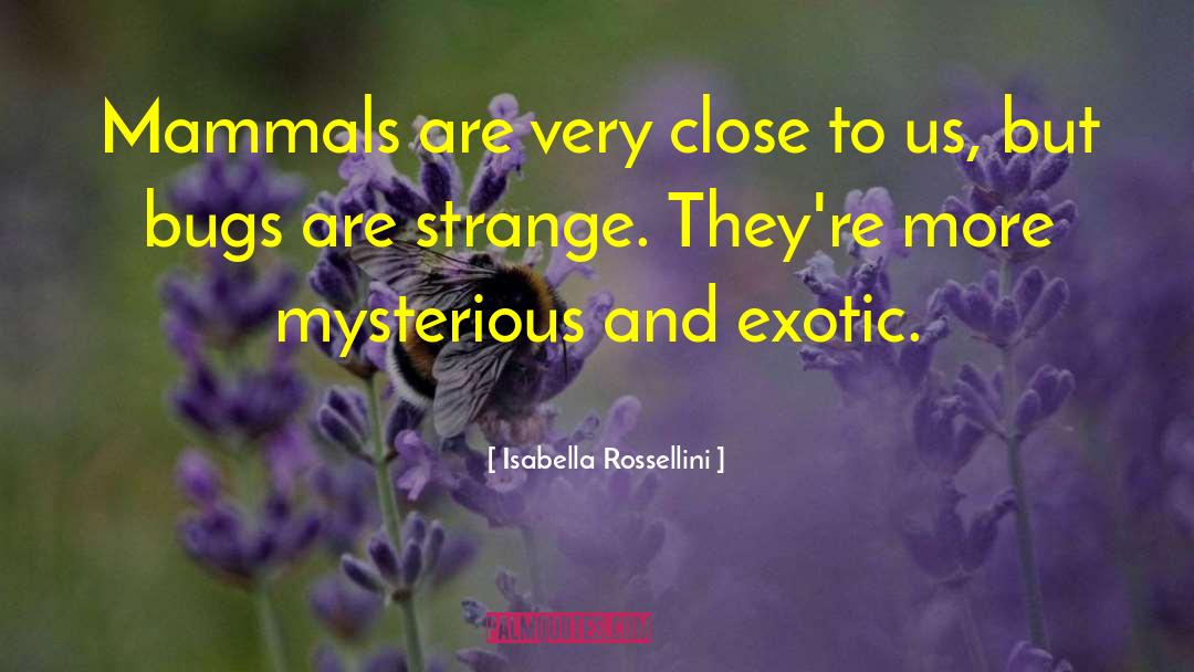 Isabella Rossellini Quotes: Mammals are very close to
