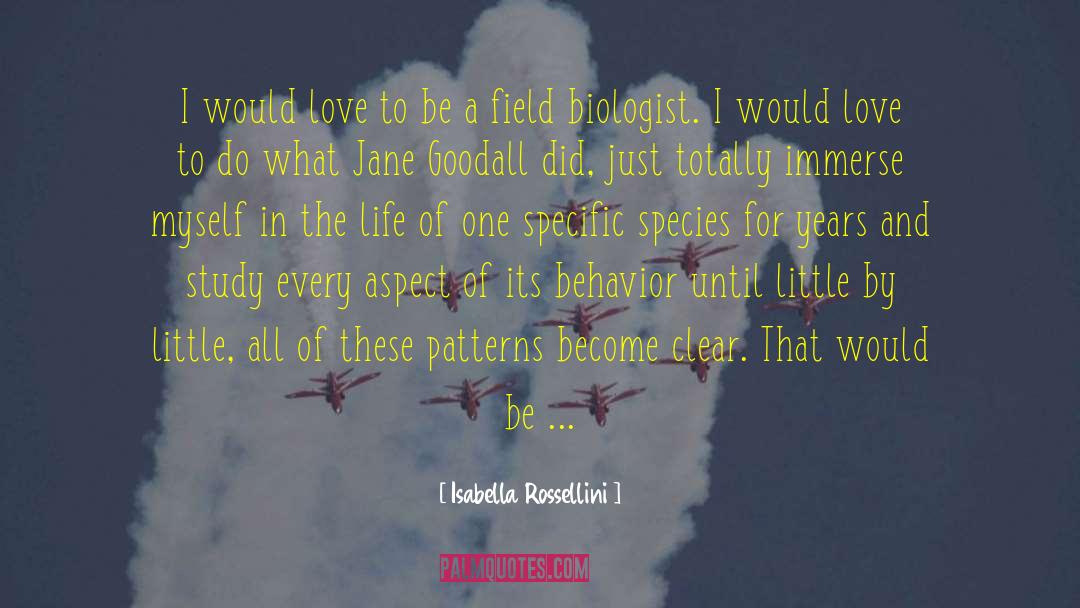 Isabella Rossellini Quotes: I would love to be