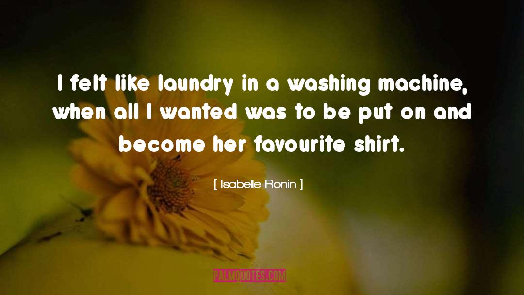 Isabelle Ronin Quotes: I felt like laundry in