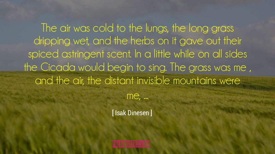 Isak Dinesen Quotes: The air was cold to