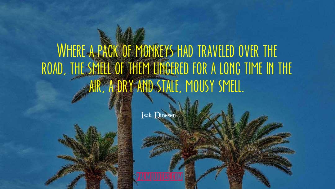 Isak Dinesen Quotes: Where a pack of monkeys