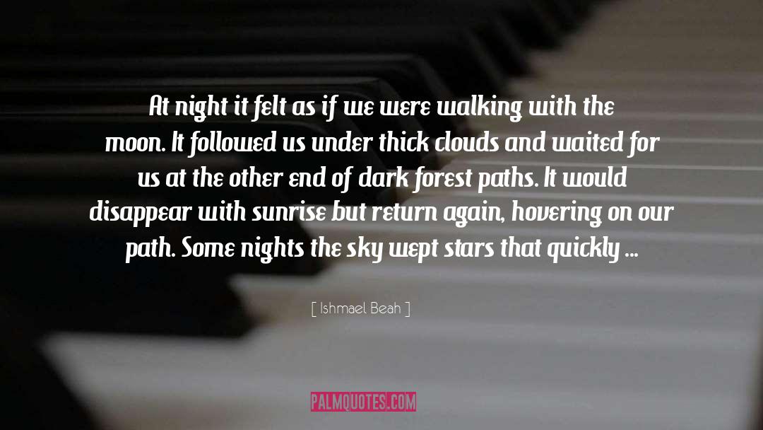 Ishmael Beah Quotes: At night it felt as