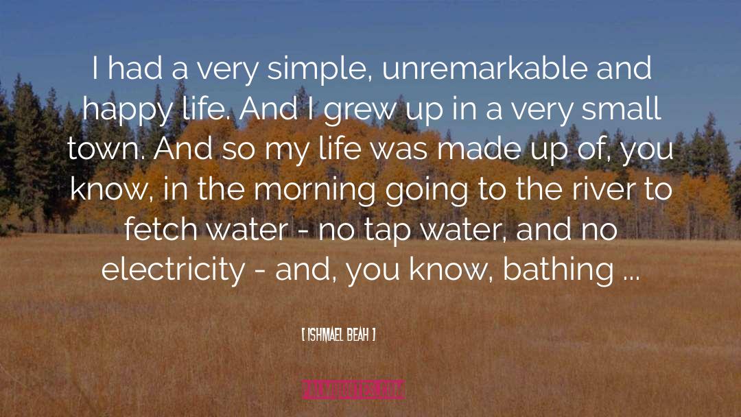 Ishmael Beah Quotes: I had a very simple,