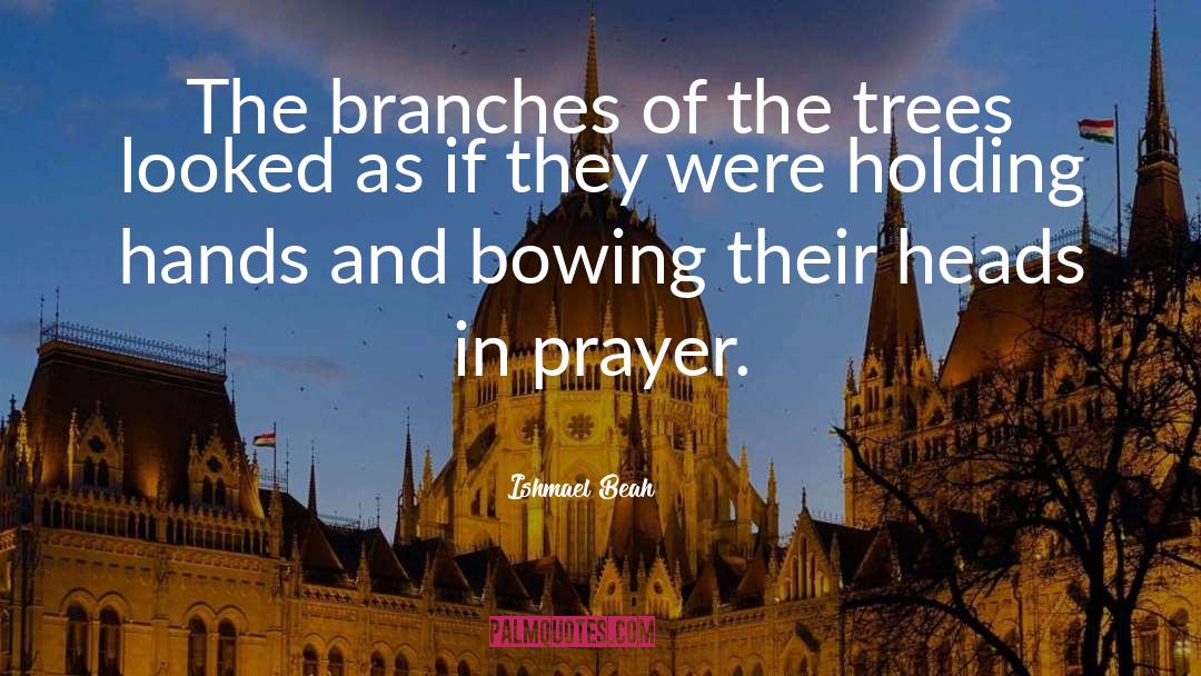 Ishmael Beah Quotes: The branches of the trees
