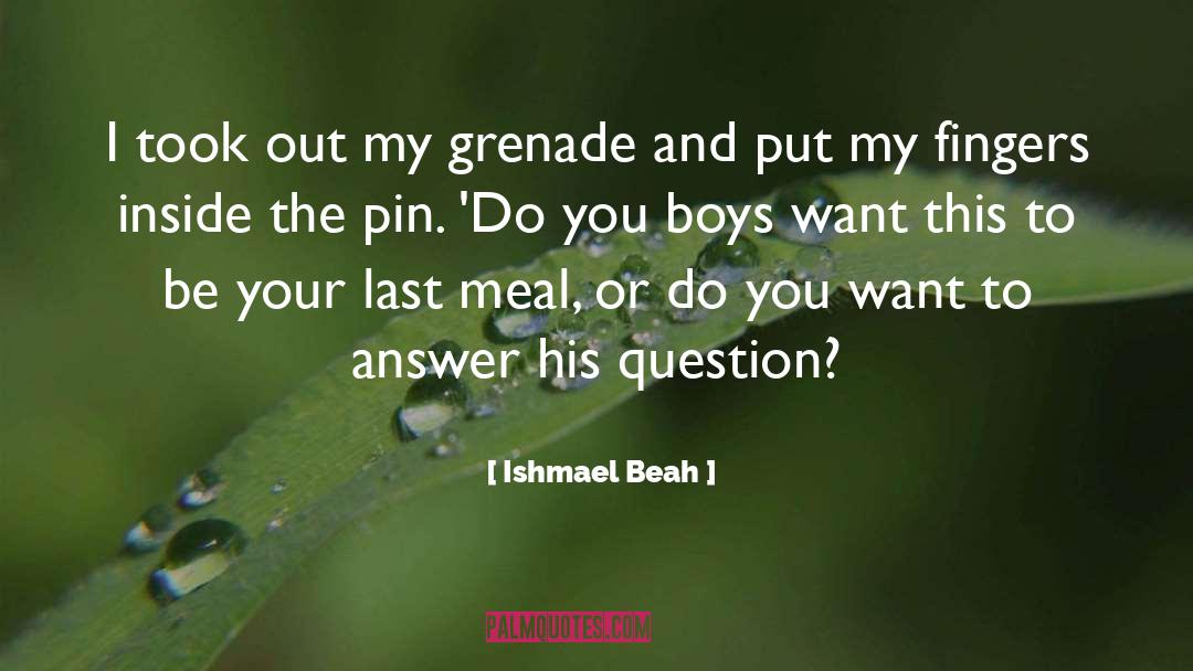 Ishmael Beah Quotes: I took out my grenade