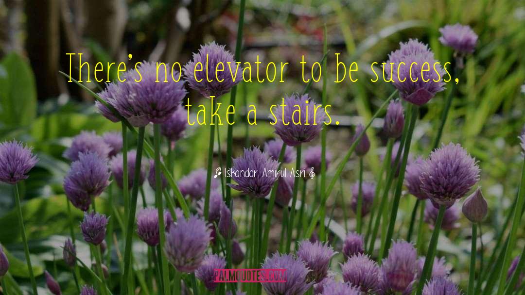 Iskandar Amirul Asri Quotes: There's no elevator to be