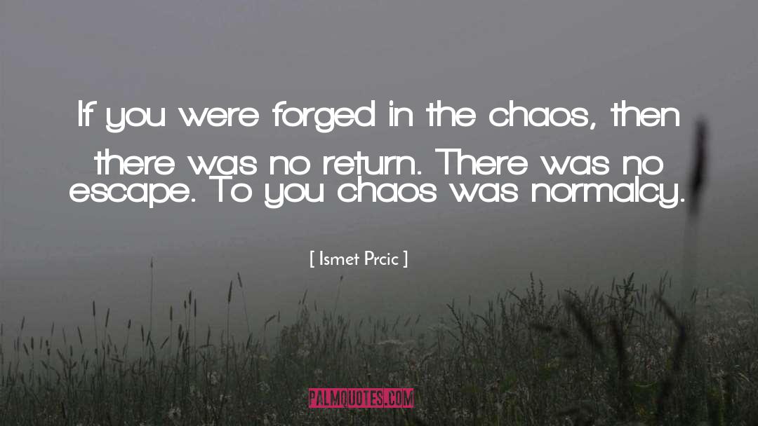 Ismet Prcic Quotes: If you were forged in