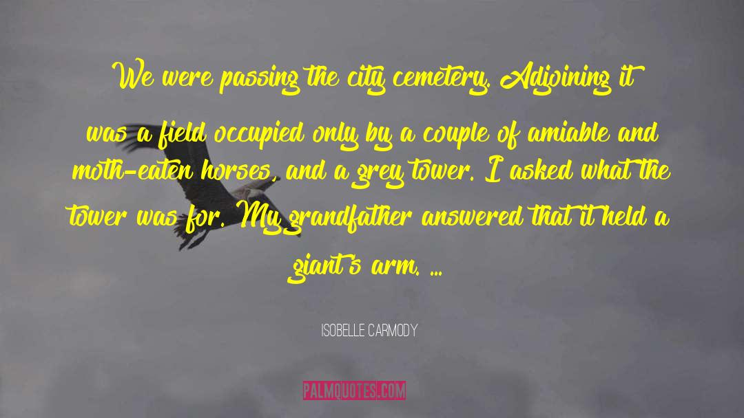 Isobelle Carmody Quotes: We were passing the city