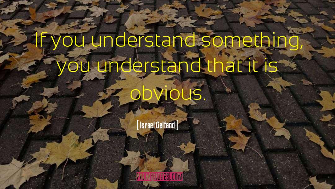 Israel Gelfand Quotes: If you understand something, you