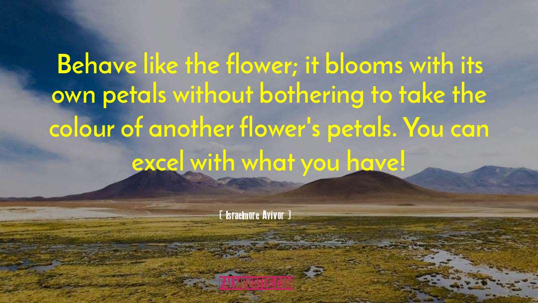 Israelmore Ayivor Quotes: Behave like the flower; it