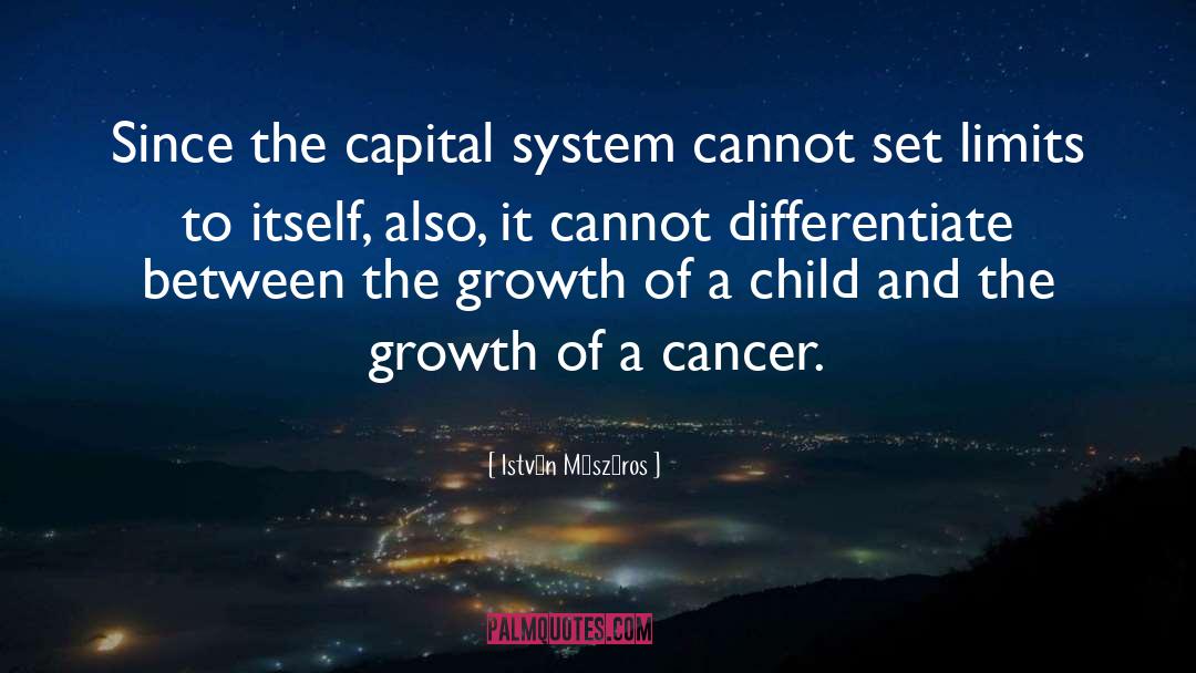 István Mészáros Quotes: Since the capital system cannot