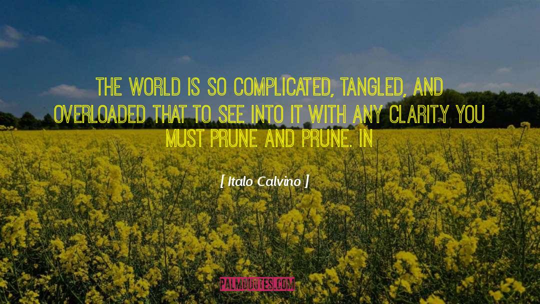 Italo Calvino Quotes: The world is so complicated,