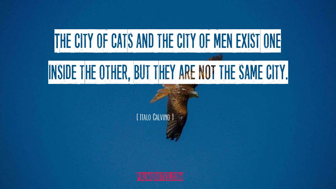 Italo Calvino Quotes: The city of cats and