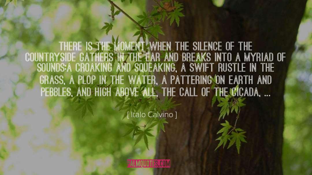 Italo Calvino Quotes: There is the moment when