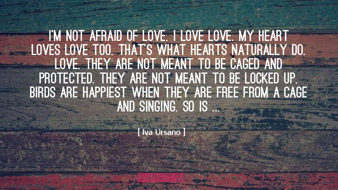 Iva Ursano Quotes: I'm not afraid of love.