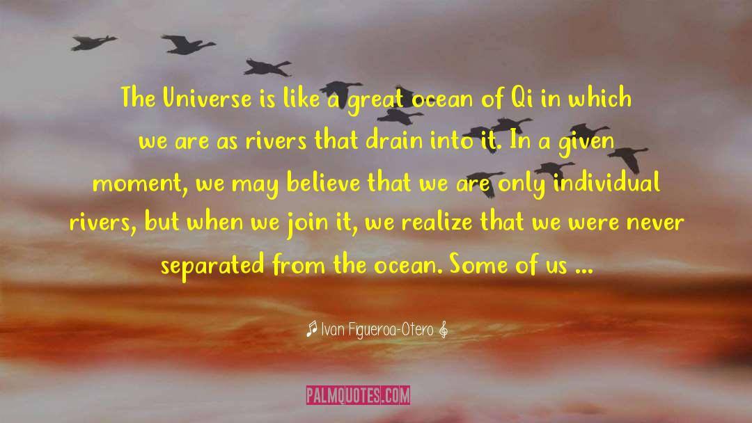 Ivan Figueroa-Otero Quotes: The Universe is like a