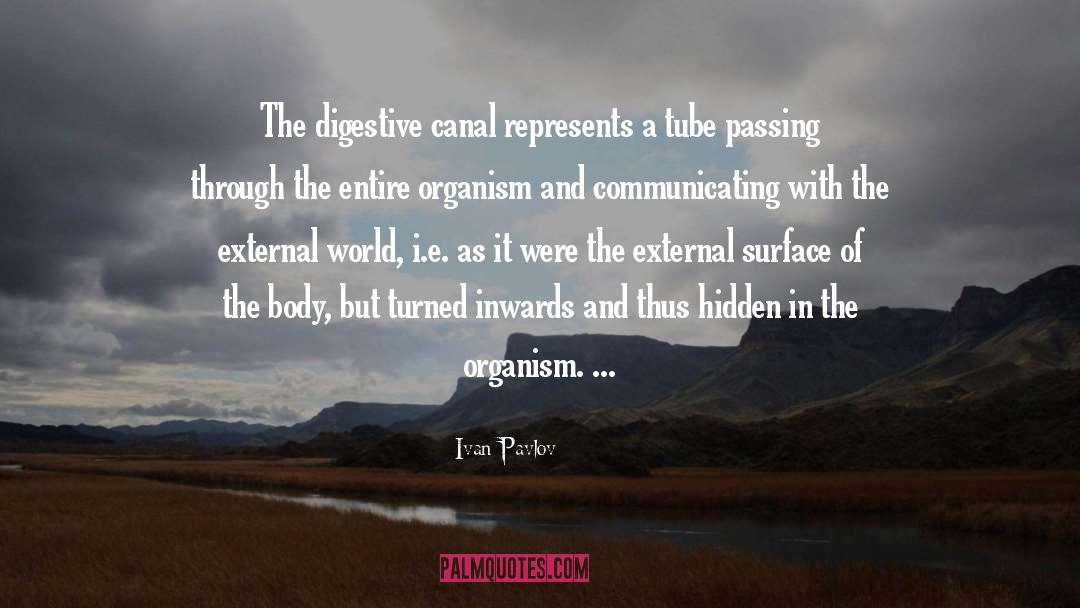 Ivan Pavlov Quotes: The digestive canal represents a