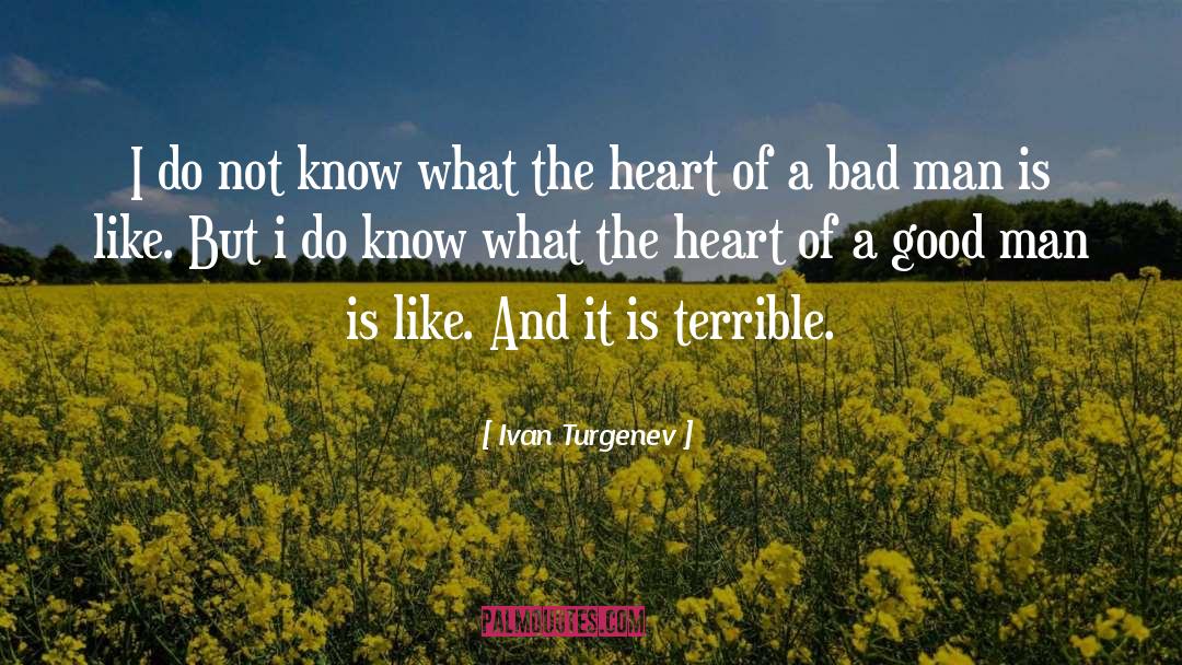 Ivan Turgenev Quotes: I do not know what