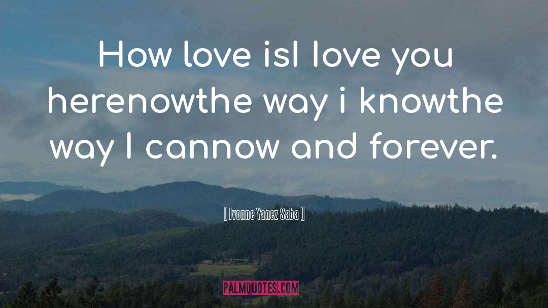 Ivonne Yanez Saba Quotes: How love is<br>I Iove you