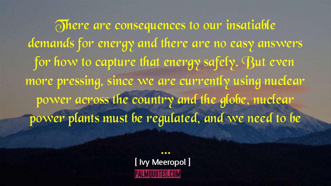 Ivy Meeropol Quotes: There are consequences to our