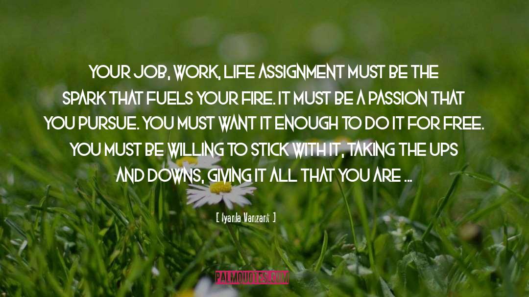 Iyanla Vanzant Quotes: Your job, work, life assignment