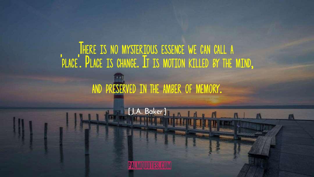 J.A. Baker Quotes: There is no mysterious essence