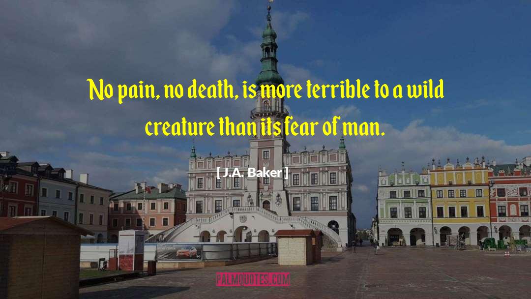 J.A. Baker Quotes: No pain, no death, is