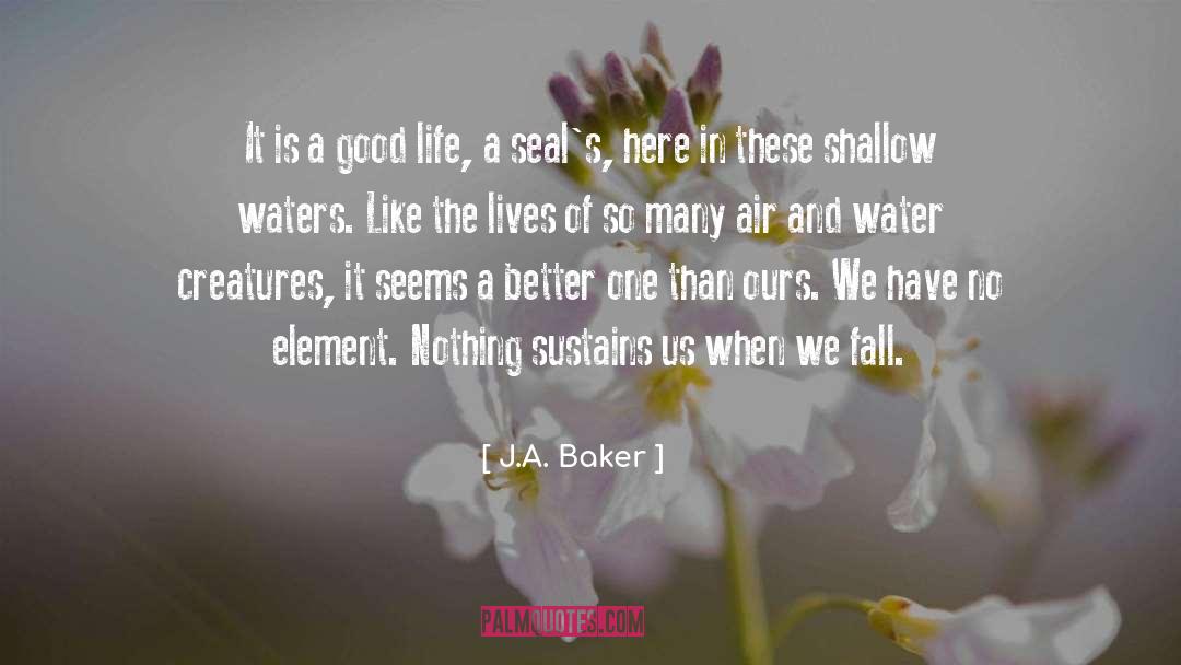 J.A. Baker Quotes: It is a good life,