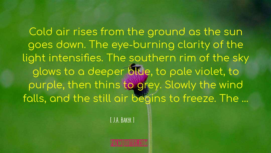 J.A. Baker Quotes: Cold air rises from the