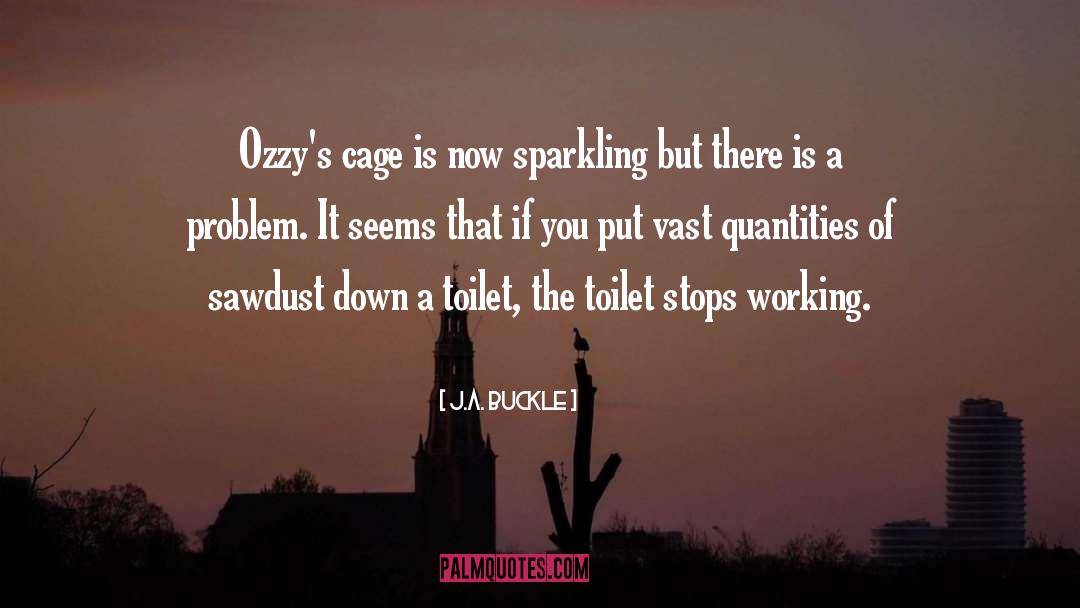 J.A. Buckle Quotes: Ozzy's cage is now sparkling