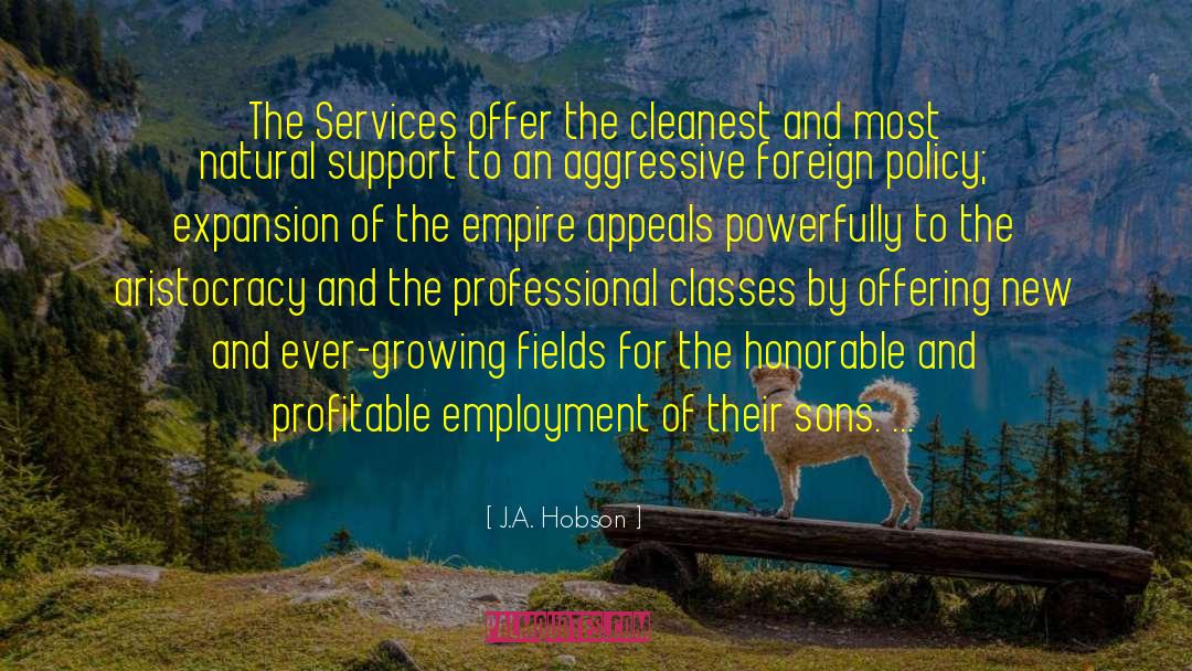J.A. Hobson Quotes: The Services offer the cleanest