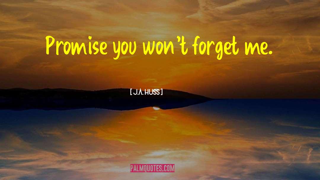 J.A. Huss Quotes: Promise you won't forget me.