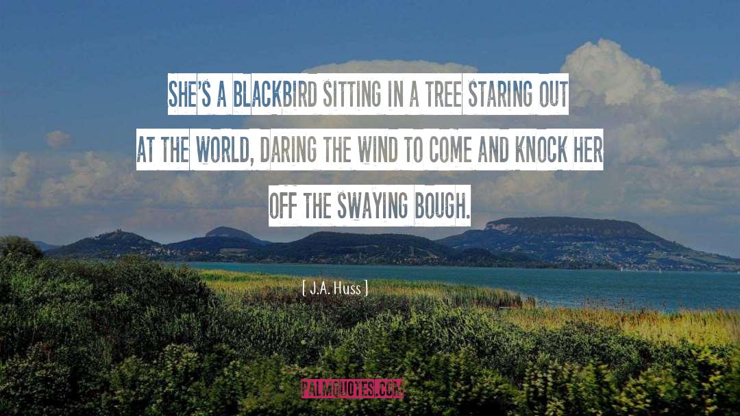 J.A. Huss Quotes: She's a blackbird sitting in