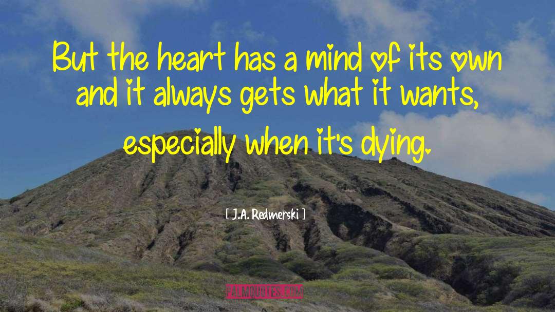 J.A. Redmerski Quotes: But the heart has a