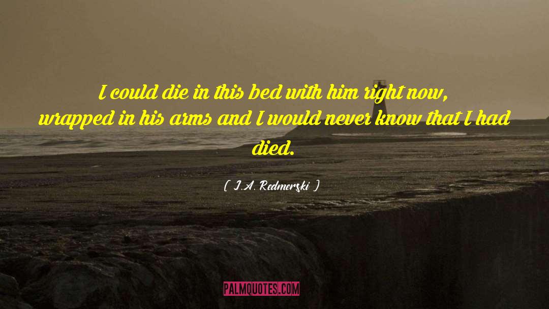 J.A. Redmerski Quotes: I could die in this