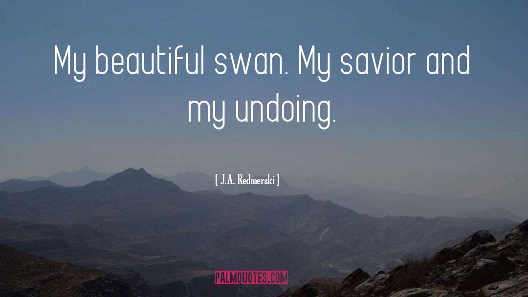 J.A. Redmerski Quotes: My beautiful swan. My savior