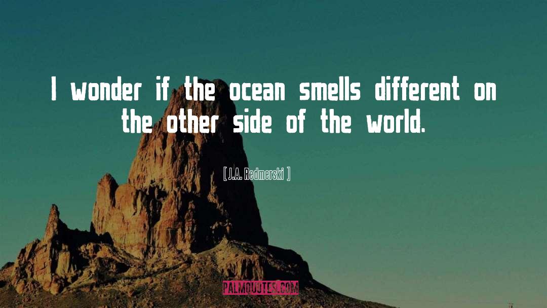 J.A. Redmerski Quotes: I wonder if the ocean