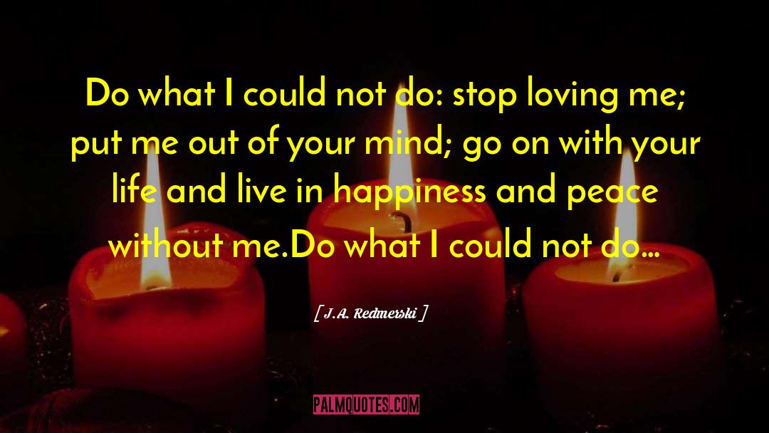 J.A. Redmerski Quotes: Do what I could not